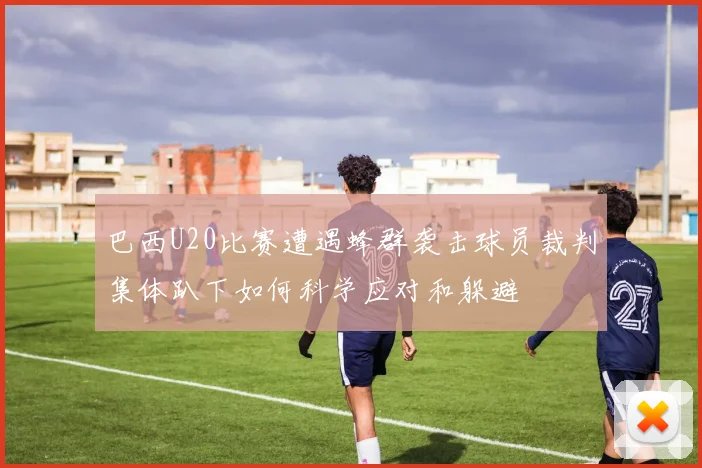 巴西U20比赛遭遇蜂群袭击球员裁判集体趴下如何科学应对和躲避